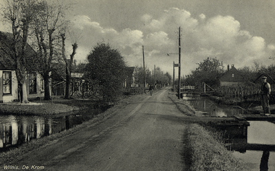 15321 Gezicht in de Herenweg met bebouwing, beplanting en weteringen bij De Krom te Wilnis uit het westen. N.B. De ...